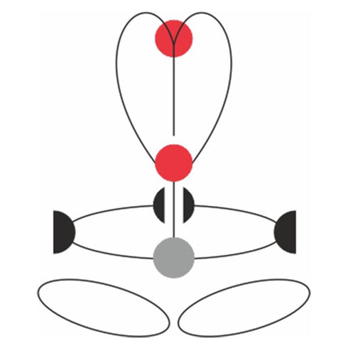 GT